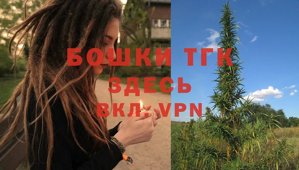 МДПВ Богородицк