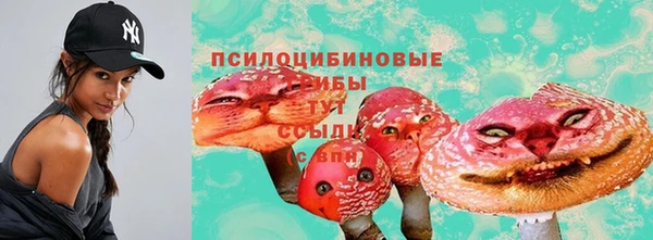 соль ск Богородск
