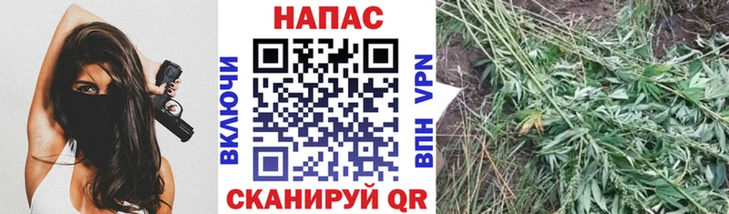 Бошки Шишки семена  Белоусово 